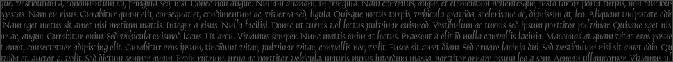  Lorem Ipsum